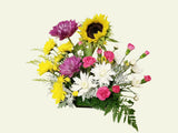 This bright and colorful arrangement is a cheerful combination Spray Carnations, Alstroemeria, Mums, and pink accented with greens. Great for birthday, congratulations or just because.