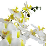 Artificial Phalaenopsis Orchid Arrangement In White Ceramic Planter