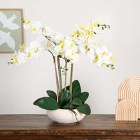 Artificial Phalaenopsis Orchid Arrangement In White Ceramic Planter