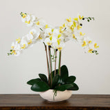 Artificial Phalaenopsis Orchid Arrangement In White Ceramic Planter