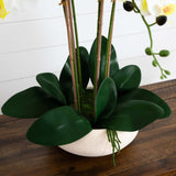 Artificial Phalaenopsis Orchid Arrangement In White Ceramic Planter