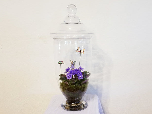 African Violet Glass Dome Arrangement 