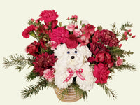 Introducing a fresh design for the beloved holiday dog! Crafted with vibrant carnations and aromatic greens, complete with a charming hat, this cheerful canine embodies the essence of the season. Sending this arrangement is a delightful way to extend warm wishes of "Merry Everything!" to your cherished ones..