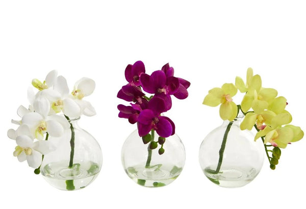 9” Phalaenopsis Orchid Artificial Arrangement in Vase (Set of 3)