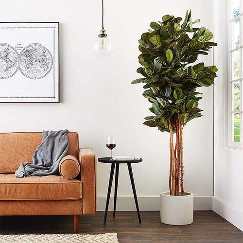 Faux plant factory - fiddle leaf